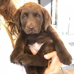 Meet your Posher, Jenna